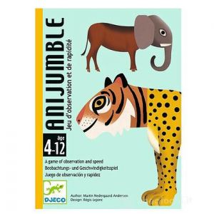 PLAYING CARDS
- Anijumble
