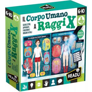 Il Corpo Umano a Raggi X