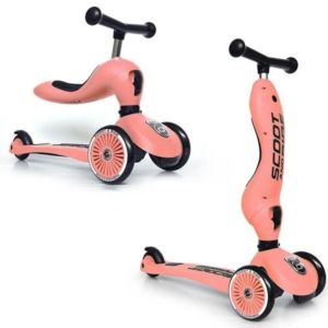 Monopattino 2 in 1 Scoot&Ride Pesca