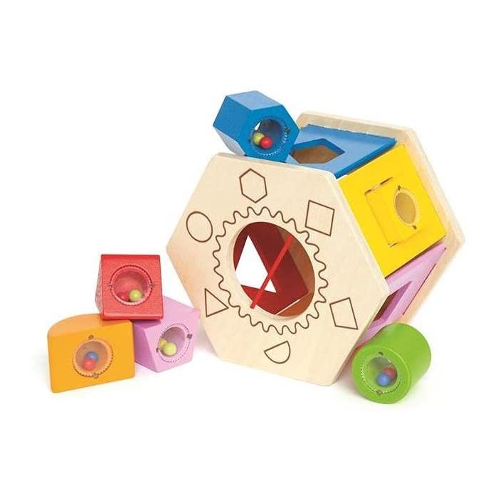 Hape Gioco delle Forme in Legno 