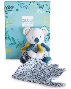 Koala - peluche con doudou 