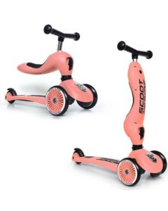 Monopattino 2 in 1 Scoot&Ride Pesca